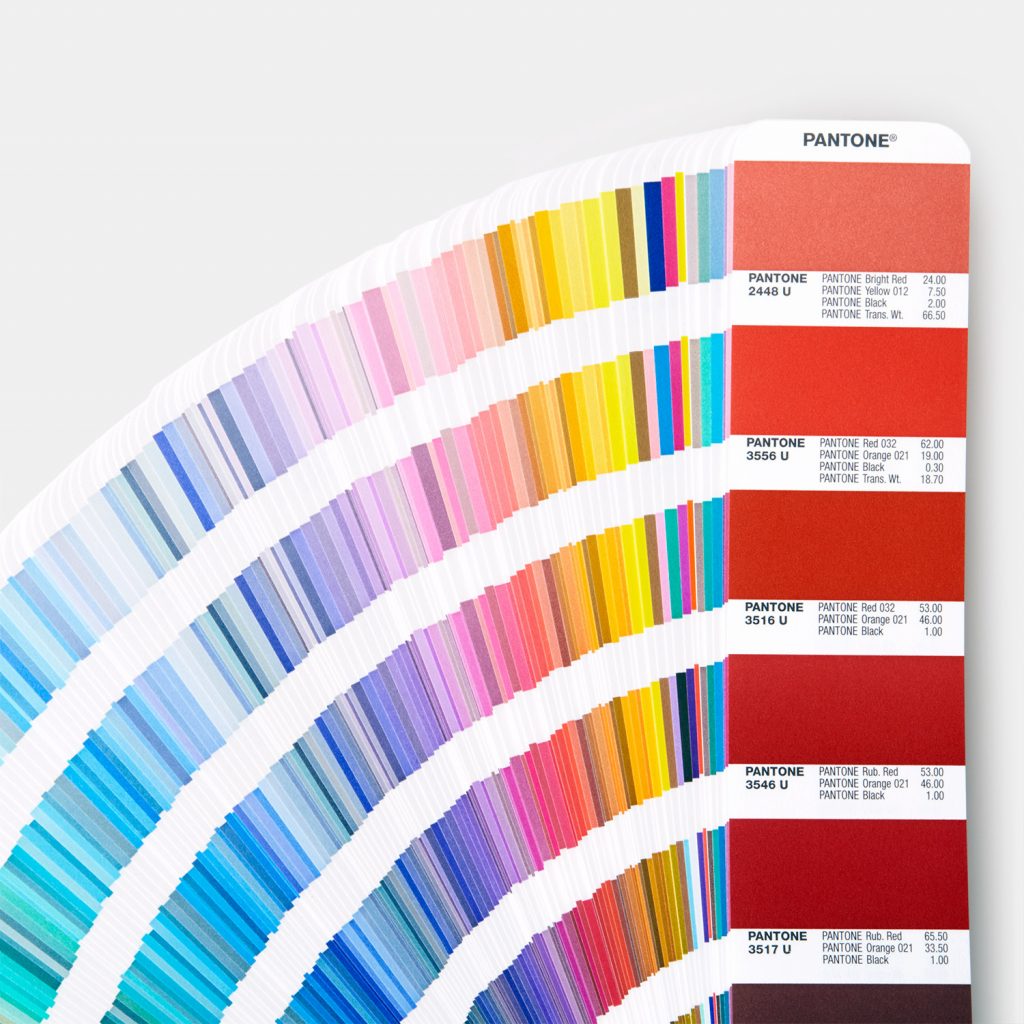 Pantone Color Swatches laid out